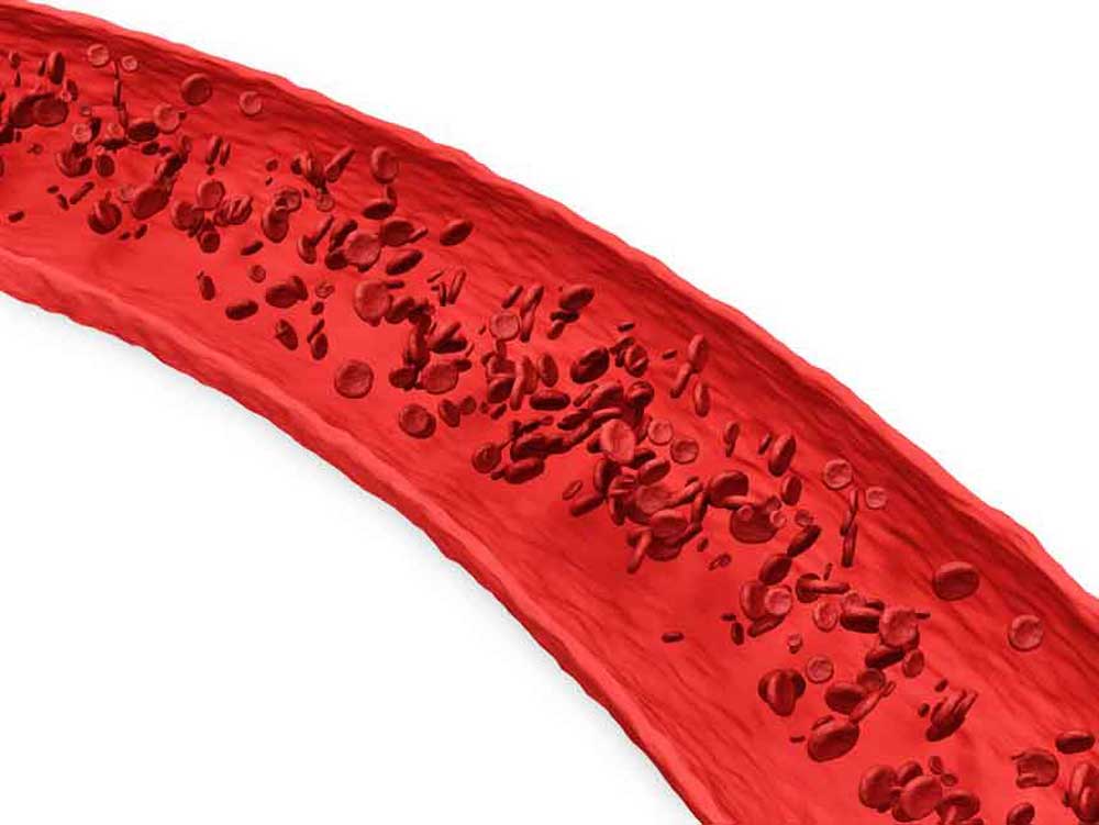 CareAcross-blood-cells