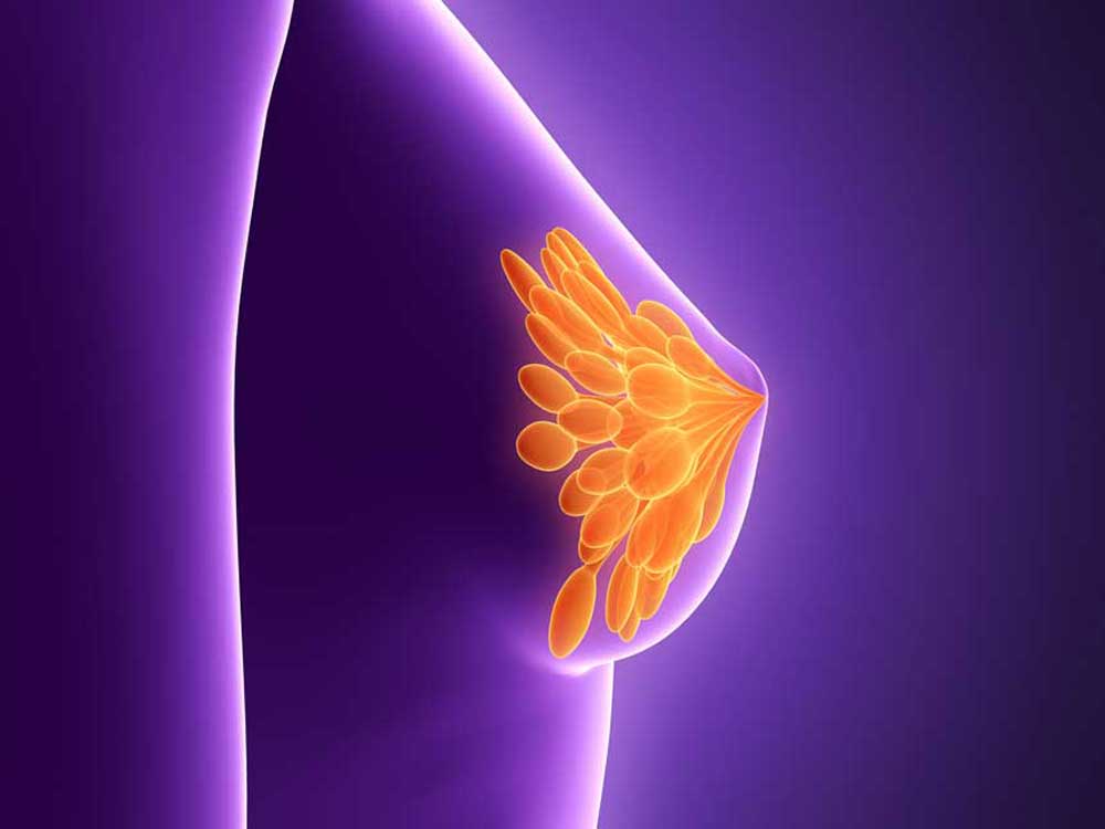 CareAcross-breast-cancer-outline