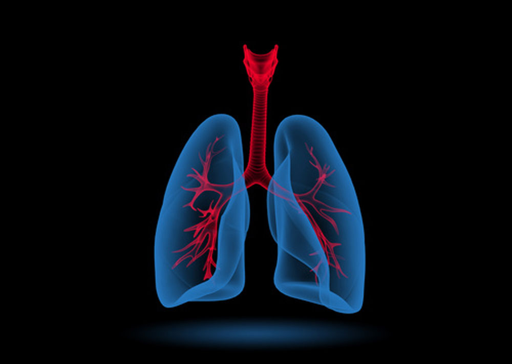 CareAcross-lungs-graphic