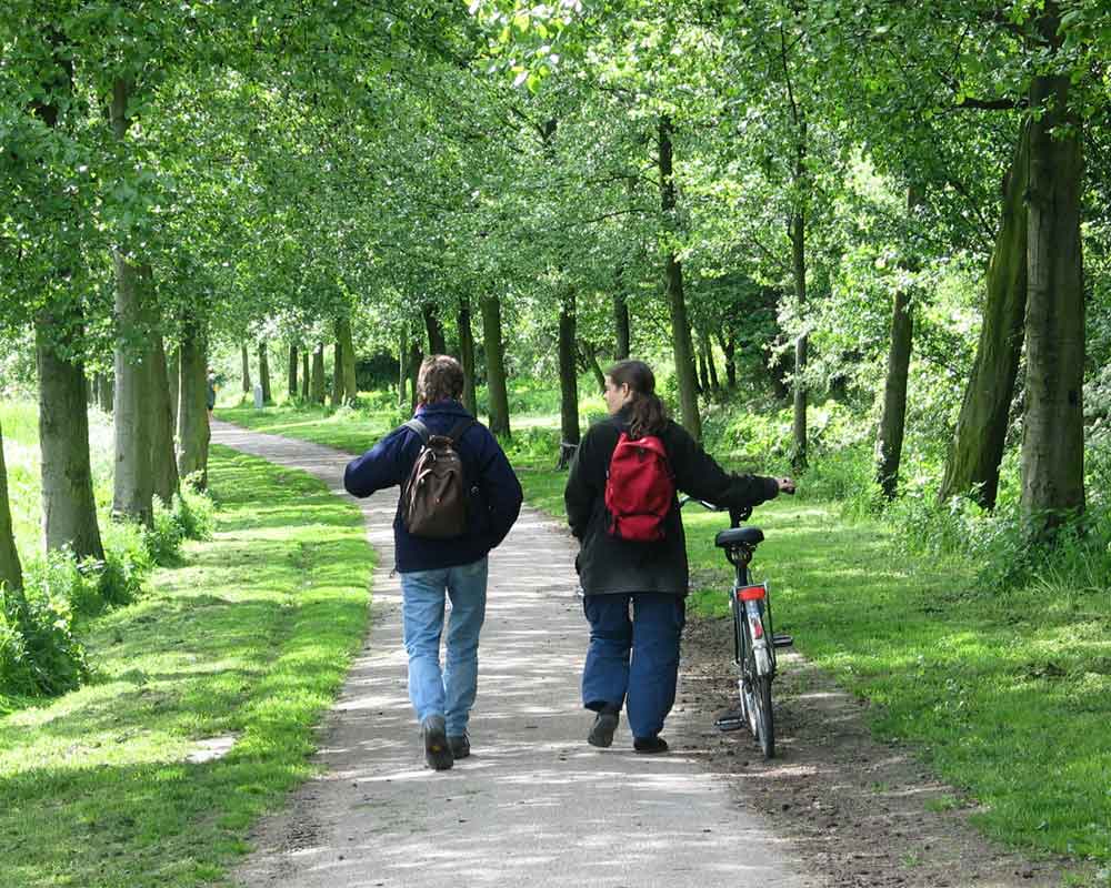 CareAcross-walk-and-bike